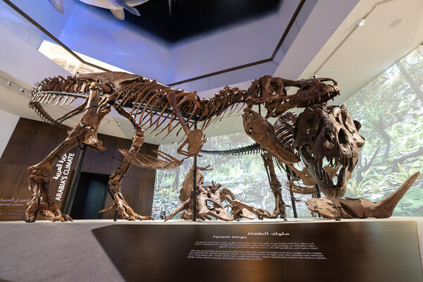 阿布札比酋長國王 Sheikh Khaled bin Mohamed bin Zayed Al Nahyan 殿下於薩迪亞特文化區為阿布札比自然歷史博物館揭幕