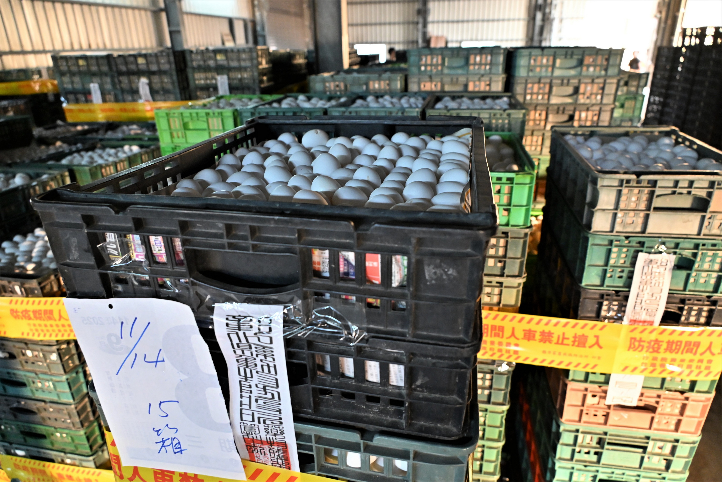(有影片)/彰化文雅畜牧場雞蛋疑含芬普尼 25萬顆緊急銷毀 - https://www.watchmedia01.com