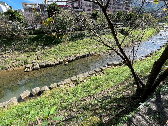 《圖說》康誥坑溪固床工施工前，河道水流紊亂，易造成河床及護岸掏刷。〈水利局提供〉