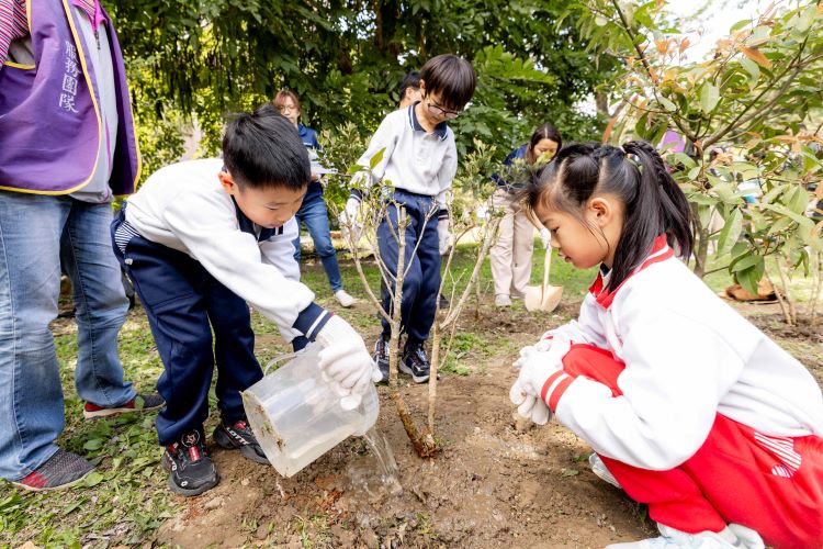 《圖說》板橋區大觀國小學童參與校園植樹。〈農業局提供〉